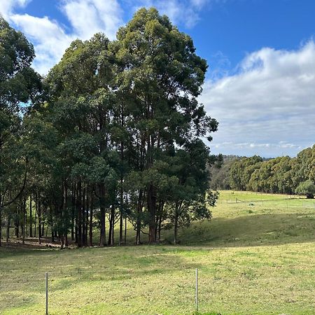 Blueberry Hills On Comleroy Farmstay - Self-Contained Cottages Kurrajong Esterno foto