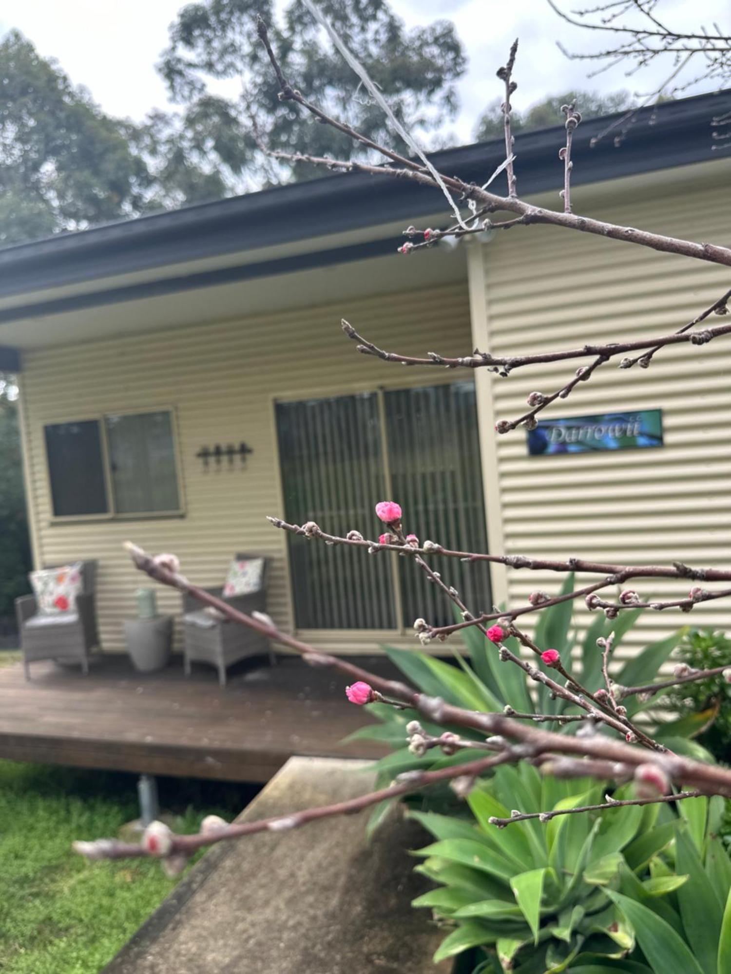 Blueberry Hills On Comleroy Farmstay - Self-Contained Cottages Kurrajong Esterno foto