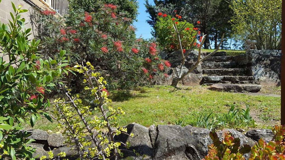 Blueberry Hills On Comleroy Farmstay - Self-Contained Cottages Kurrajong Esterno foto