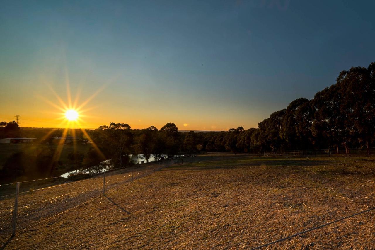 Blueberry Hills On Comleroy Farmstay - Self-Contained Cottages Kurrajong Esterno foto