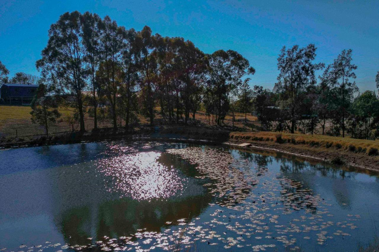 Blueberry Hills On Comleroy Farmstay - Self-Contained Cottages Kurrajong Esterno foto