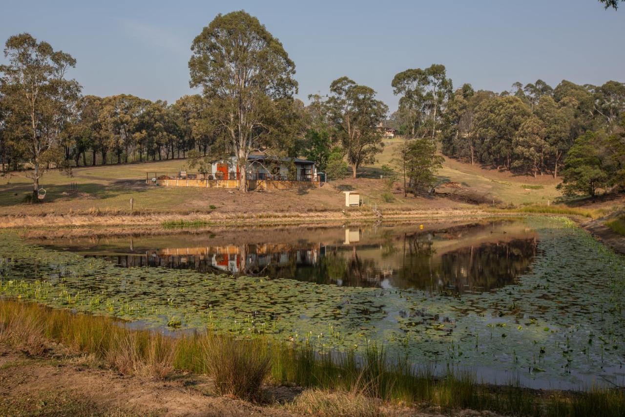Blueberry Hills On Comleroy Farmstay - Self-Contained Cottages Kurrajong Esterno foto