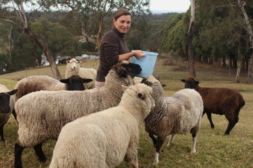 Blueberry Hills On Comleroy Farmstay - Self-Contained Cottages Kurrajong Esterno foto